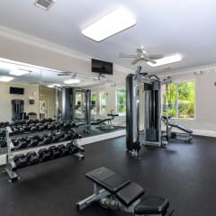 gym