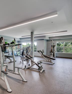 Strength Training Equipment