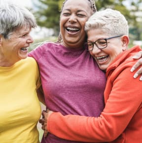 Friends Laughing at Hampton Apartments in Clearwater, FL 33759