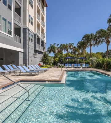 Resort-Style Pool at The Exchange Luxury Apartments in St. Petersburg, FL