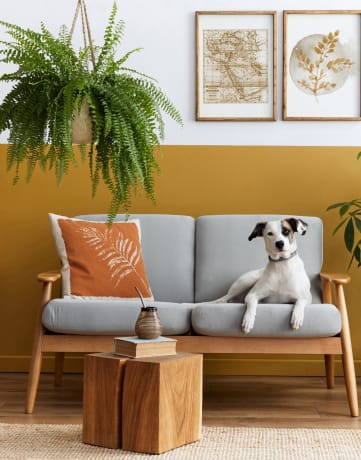 Dog Couch Gold