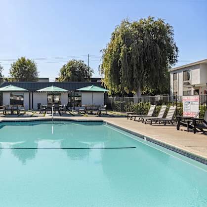 A large swimming pool surrounded by lounge chairs and trees.
