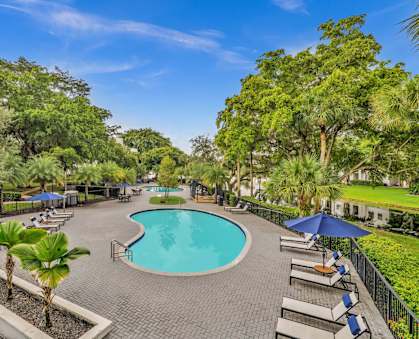 A pool surrounded by palm trees and lounge chairs.