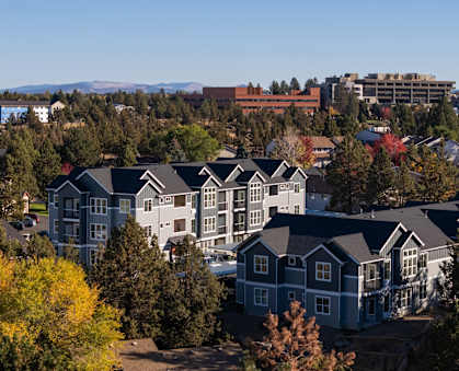 A cluster of houses with trees in the foreground.