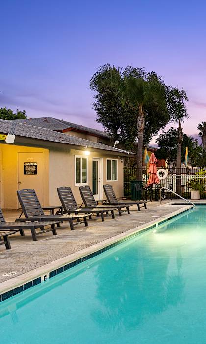 A swimming pool surrounded by palm trees and lounge chairs.
