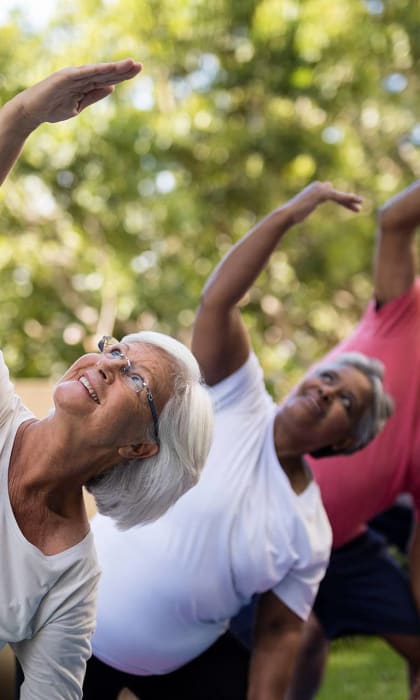 a group of people doing yoga in the park