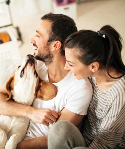 Lincoln Property Company Dog With Family