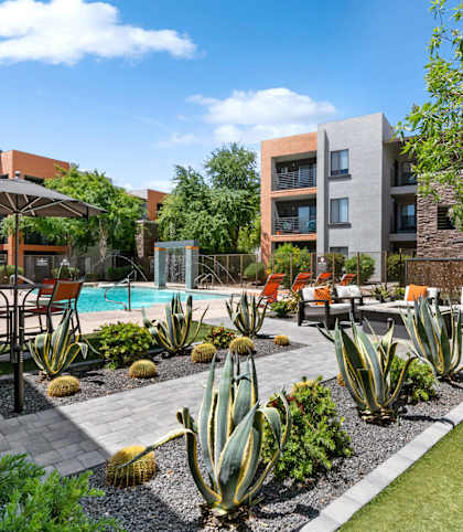 Pool yard at Harmony at Surprise Apartments in Tucson, Arizona