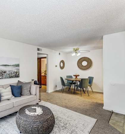 Living Room with Carpet