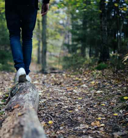 Man Walking on Fallen Tree in Forest