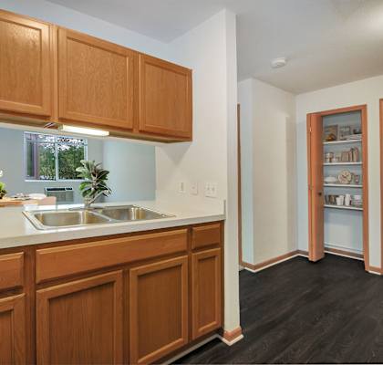 the view of a kitchen with wooden cabinets and a sink
