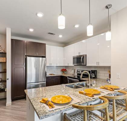 Venue on 16th Apartments in Denver, Colorado Model Kitchen with Built-In Shelving