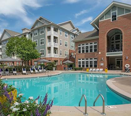 A large swimming pool is surrounded by a yellow planter box with purple and white flowers.