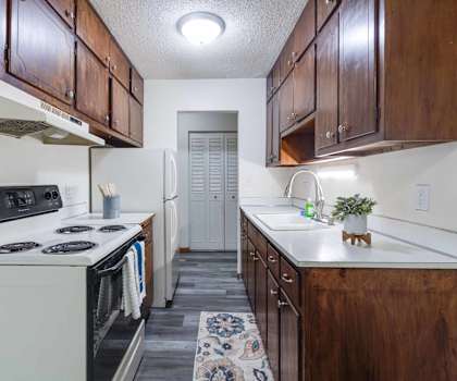 a kitchen with a stove and a sink and a refrigerator