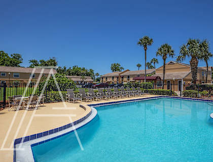 A large swimming pool surrounded by palm trees and lounge chairs.
