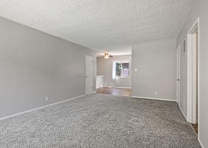 a bedroom with gray walls and carpet