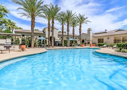 A large swimming pool surrounded by palm trees and buildings.