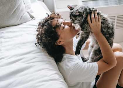 A person is lying on a bed with a grey cat.