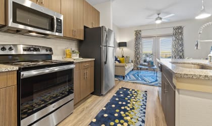 Upscale Stainless Steel Appliances at McCarty Commons, Texas, 78666