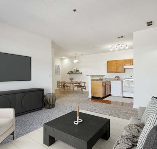 Living Room with Plush Carpeting