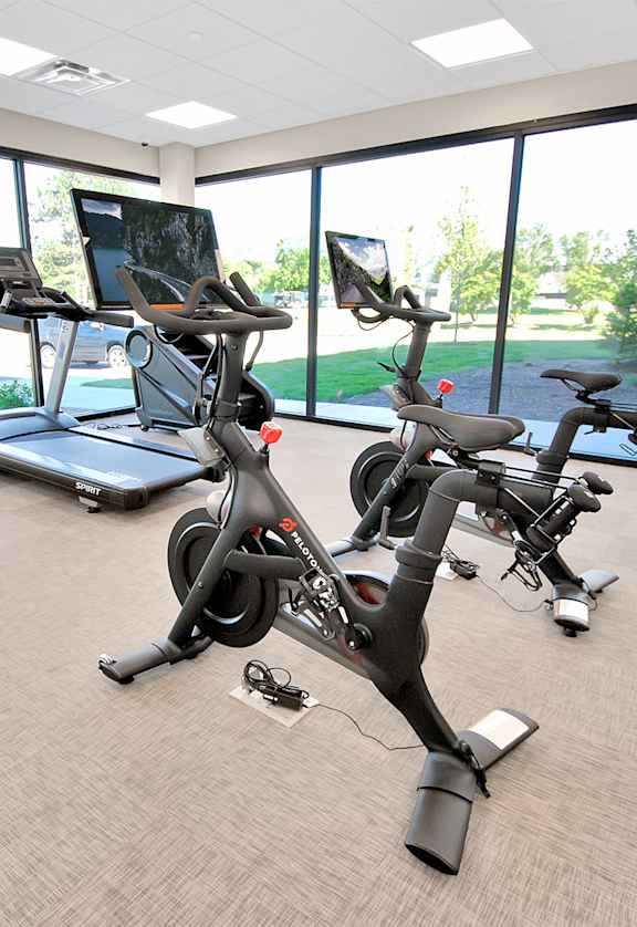 A gym with treadmills, stationary bikes, and elliptical machines.