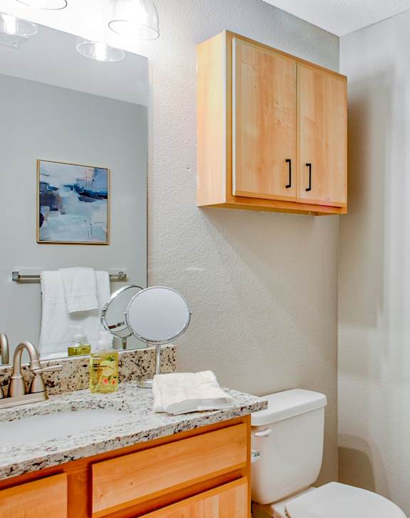 Bathroom with Modern Finishes