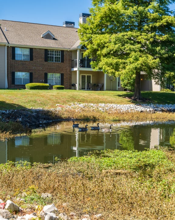 Apartment Homes at Pelican Cove Overlooking the Pond with  Wildlife