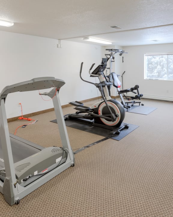 the gym at the whispering winds apartments in pearland, tx at Paraiso Estates, Sauk Rapids