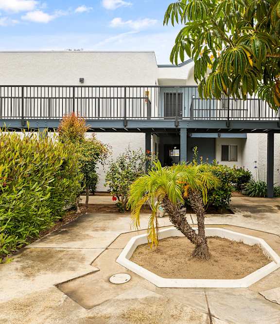 A row of white houses with a concrete pathway in the middle.