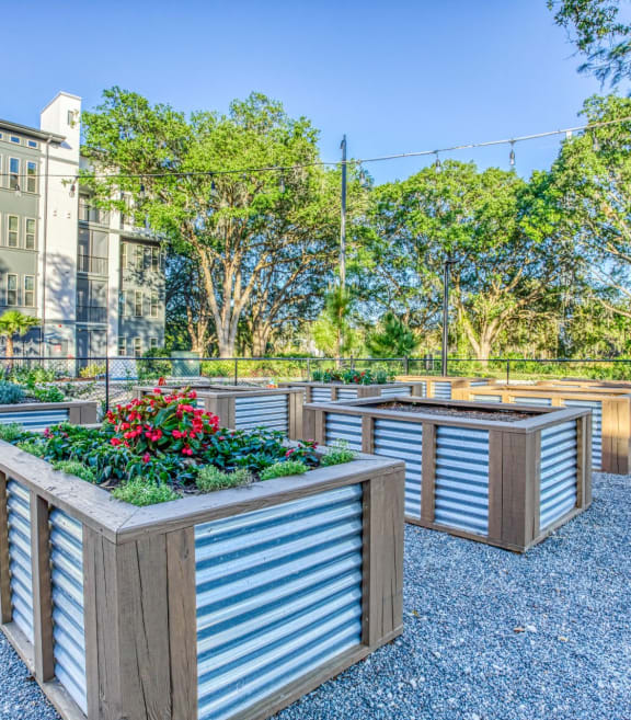 at The Beck at Hidden River, Tampa, Florida