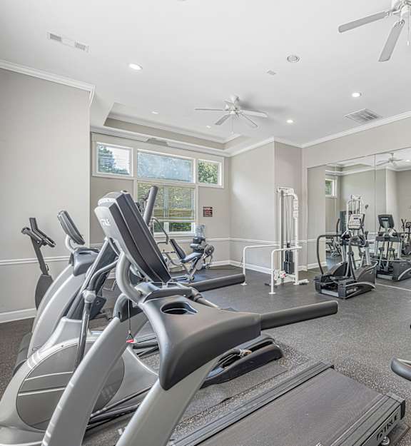 a gym with treadmills and other exercise equipment