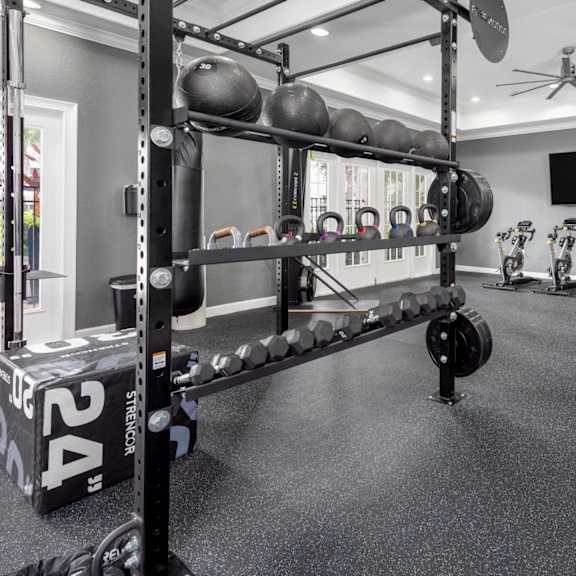 A gym with a weight rack and weights.