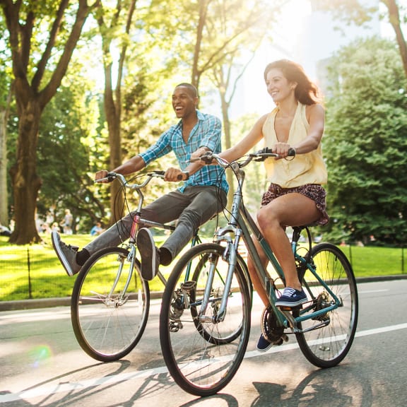 Chastain Park, Atlanta Luxury Apartments for Rent Windsor Chastain