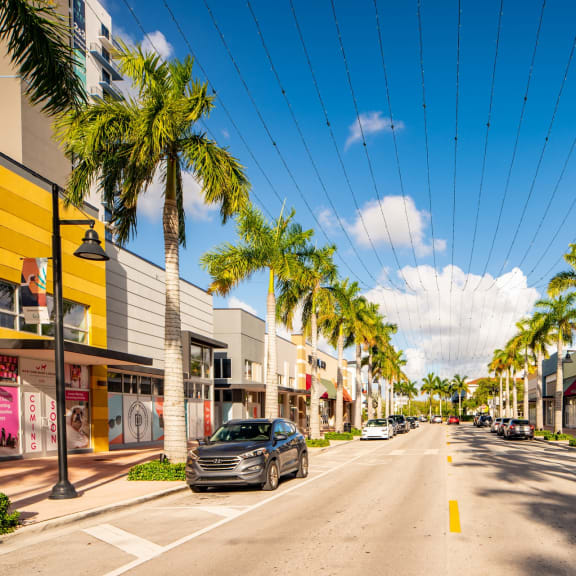 a city street with cars parked on the side of the road and palm trees on both sides