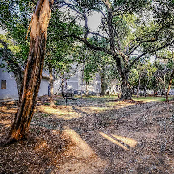 dog park at San Marin pet friendly Austin apartments