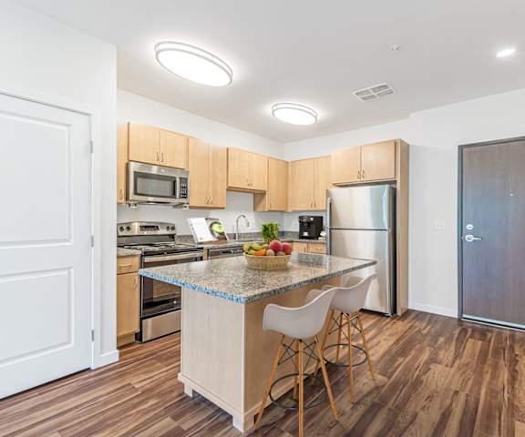 a kitchen with stainless steel appliances and a granite counter top  at Willow Place 55+ Apartments, McDonough, 30253