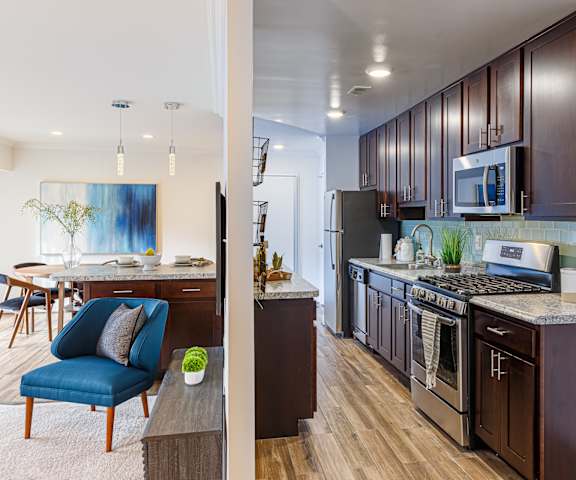 Stainless Steel Appliances