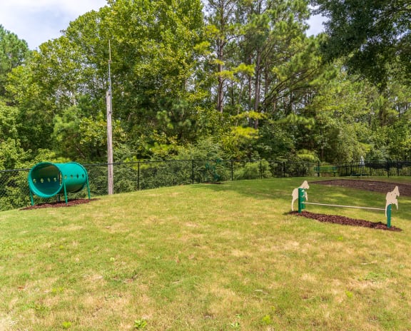 Fenced-In Dog Park With Obstacle Courses