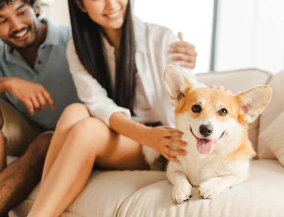 Man and Woman Smiling while Sitting on Couch with Dog