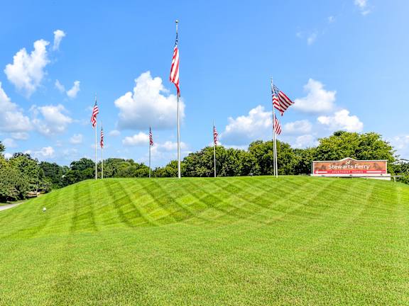 American flags on green grass