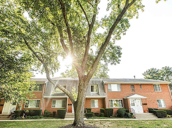 A tree in front of a red brick house.