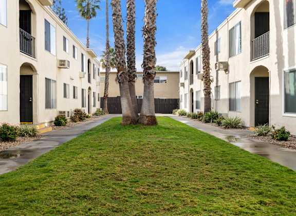 A row of apartment buildings with a tree in the middle.