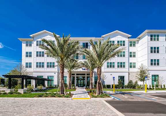 A white building with a palm tree in front