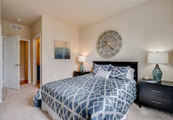 Bedroom With Walk-In Closet