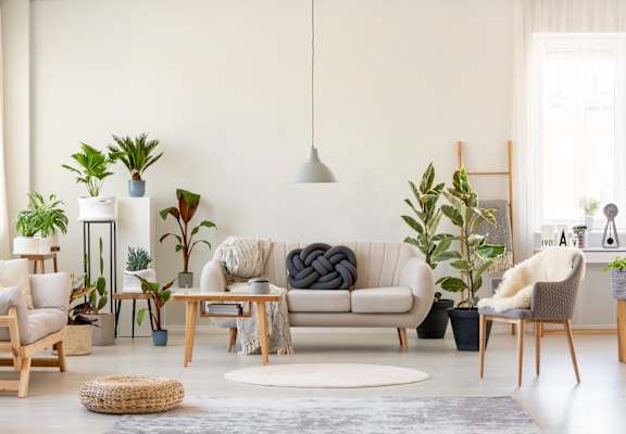 Living Room Drucker Stock(2)