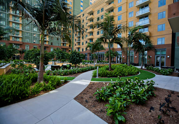 A walkway in a courtyard with a palm tree and a building in the background.