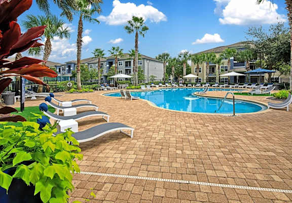 A pool surrounded by palm trees and lounge chairs.