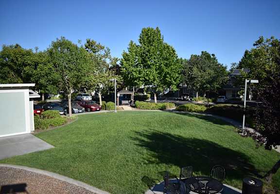 Moore Village Mutual Housing Community lawn