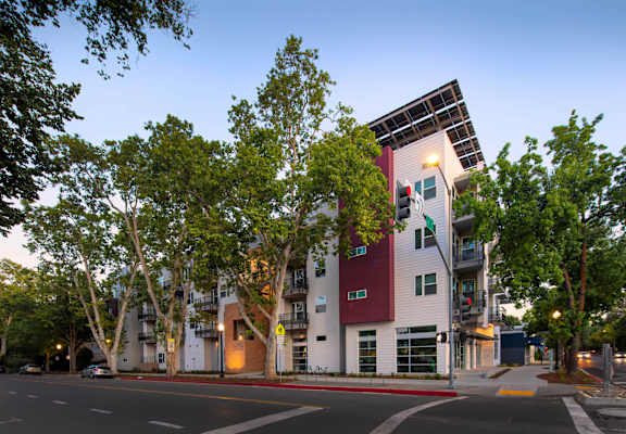 Lavender Courtyard from F Street