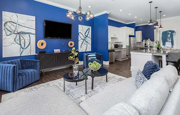 A modern living room with a grey sofa and a blue accent wall.